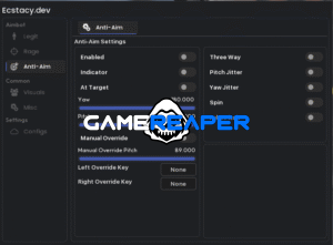Ecstacy.dev CS2